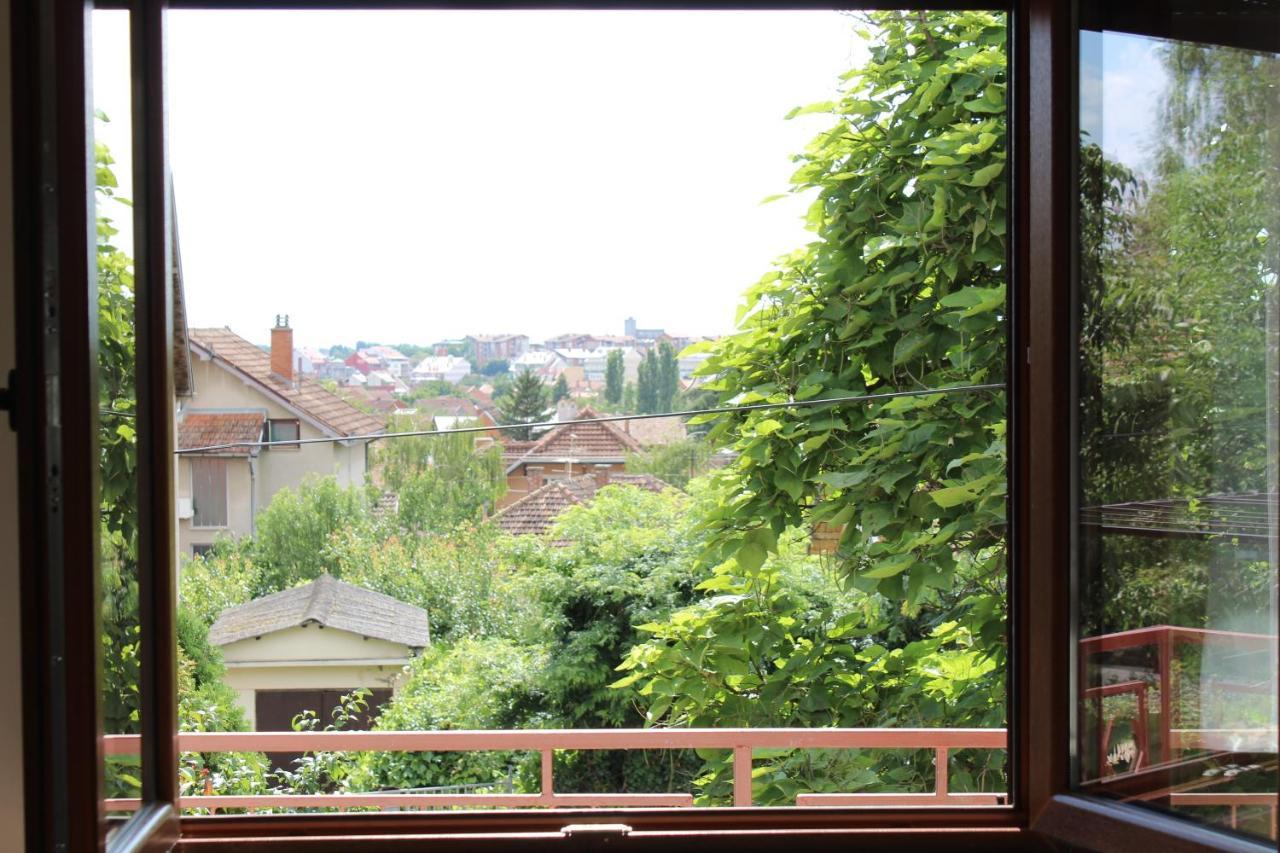 M Apartment Vrsac Zewnętrze zdjęcie